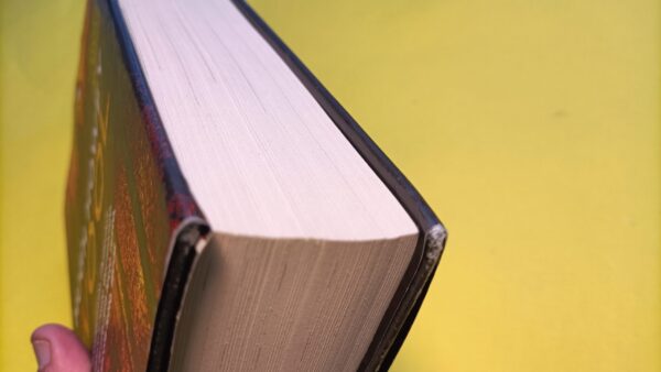 Hugh Howey, Wool, Fabbri Editori - 1^ edizione - immagine 7