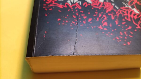 Anne Rice, L'ora delle streghe, Salani - 1^ ed. 1995 - immagine 2