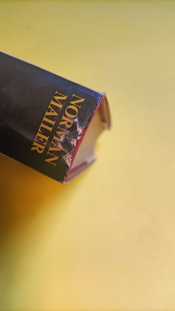 Norman Mailer, Un fuoco sulla luna, Mondadori - 1^ ed. 1971 - immagine 5