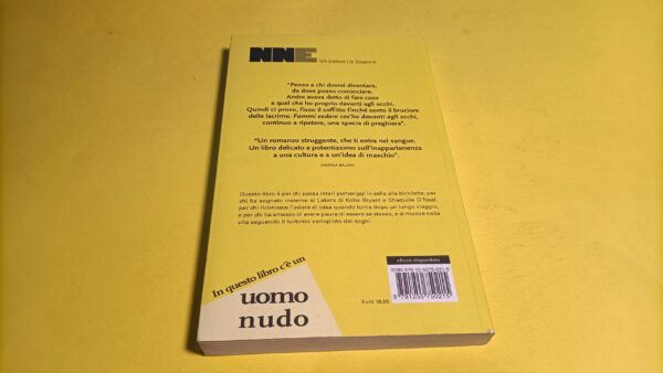 Khashayar J. Khabushani, Saluterò di nuovo il sole, NN Editore - immagine 4