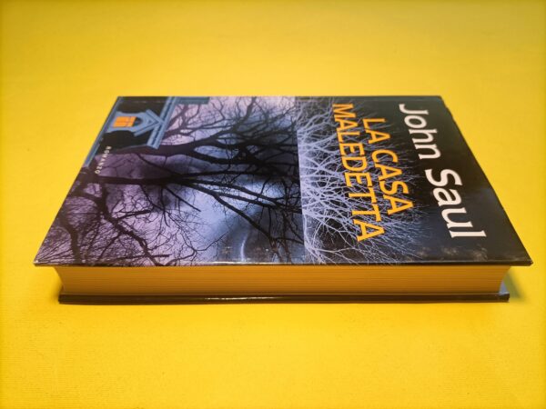John Saul, La casa maledetta, Mondolibri - immagine 4