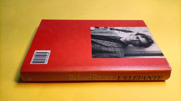 Richard Rayner, L'elefante, Mondadori - immagine 4