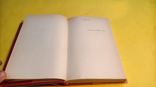 Richard Rayner, L'elefante, Mondadori - immagine 2