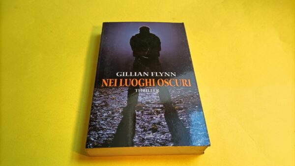 Gillian Flynn, Nei luoghi oscuri, Mondolibri