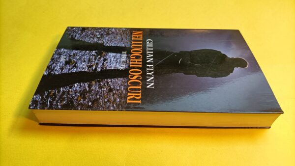 Gillian Flynn, Nei luoghi oscuri, Mondolibri - immagine 3