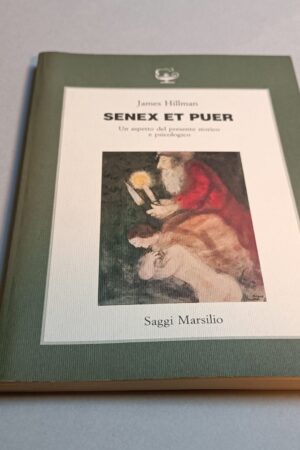 James Hillman, Senex et puer, Saggi Marsilio 2a edizione 1990