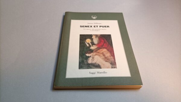 James Hillman, Senex et puer, Saggi Marsilio 2a edizione 1990