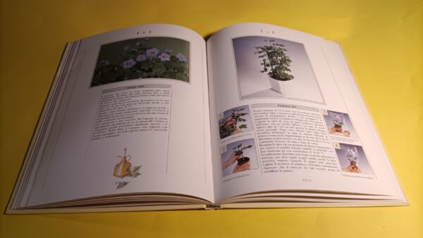 Ken March, Come moltiplicare le piante da appartamento - immagine 4