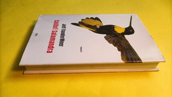 Jeff VanderMeer, Colibrì salamandra, Mondolibri - immagine 5