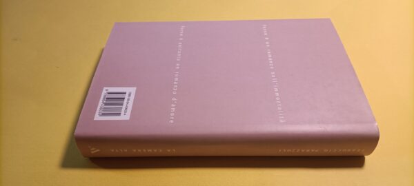 Ferruccio Parazzoli, La camera alta, Mondadori - 1^ ed. 1998 - immagine 3