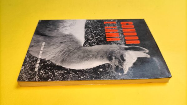 Ventura Garcia Calderon, Condor e lama, Editrice Janus - immagine 2