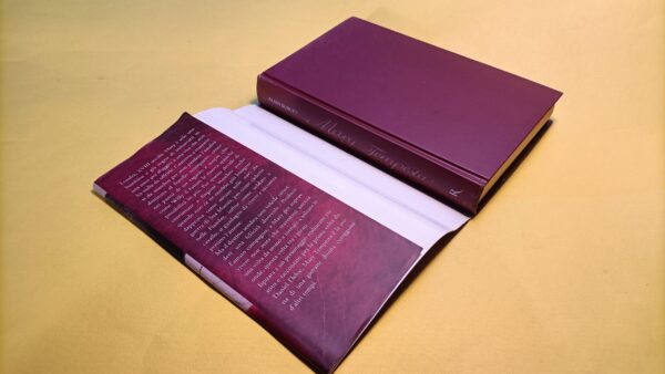 Alain Surget, Mary tempesta, Rizzoli - 1^ ed. 2008 - immagine 2
