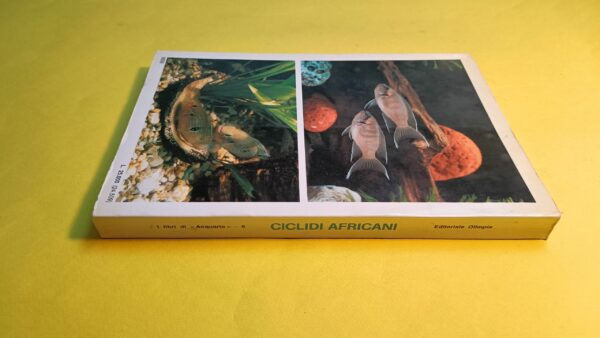 Ciclidi africani - I libri di "Acquario" n. 6, Editoriale Olimpia - immagine 2