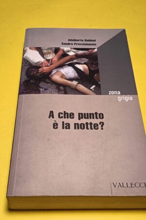 Baldoni/Provvisionato, A che punto è la notte?, Vallecchi