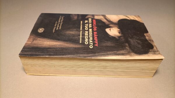 Miklos Banffy, Dio ha misurato il tuo regno, Einaudi Coralli 1a edizione 2010 - immagine 4