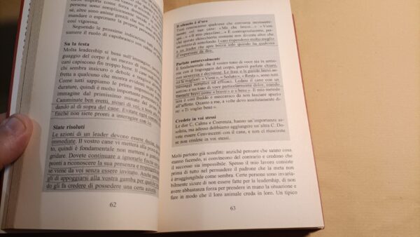 Jan Fennell, Sai comunicaNe?, Salani - immagine 7