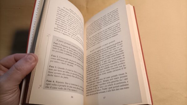 Jan Fennell, Sai comunicaNe?, Salani - immagine 6