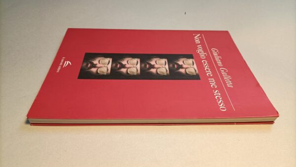Giuliano Galletta, Non voglio essere me stesso, Il Canneto Editore - immagine 4