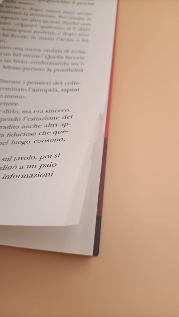 Giuseppe Sorgi, Mariano di Gesù al Princess Hotel, Salani - immagine 5