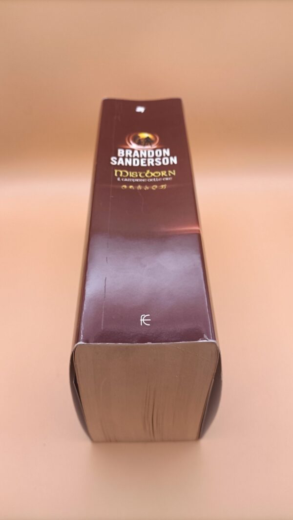 Brandon Sanderson, Mistborn Il campione delle ere, Fanucci - immagine 4