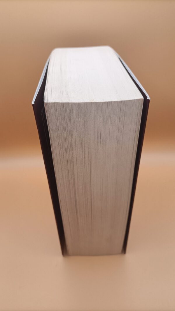 Brandon Sanderson, Mistborn Il campione delle ere, Fanucci - immagine 3