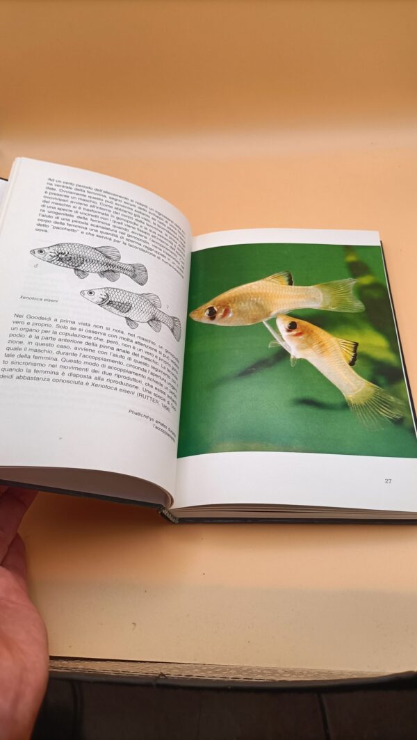 Hans-Joachim Richter, Riproduzione dei pesci d'acquario senza problemi - immagine 4