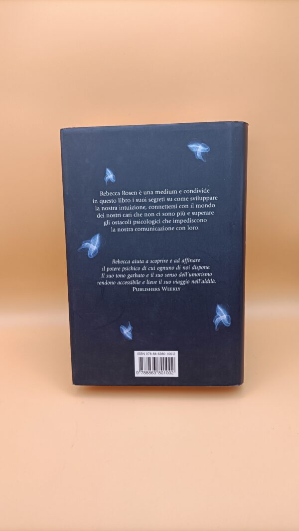 Rebecca Rosen, Spirited, Editrice Nord 1a edizione 2011 - immagine 6