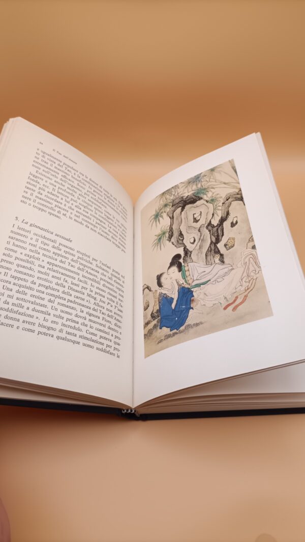 Jolan Chang, Il Tao dell'amore illustrato, CDE - immagine 3