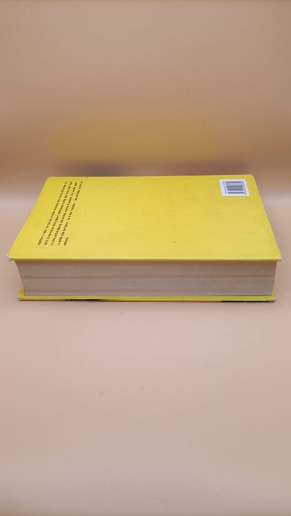 Abraham Verghese, La porta delle lacrime, Mondadori 1a edizione 2009 - immagine 6