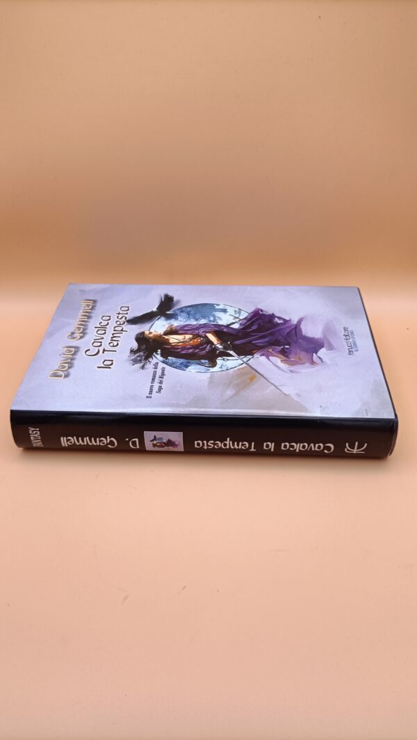 David Gemmell, Cavalca la tempesta, Fanucci 1a edizione 2004 - immagine 4