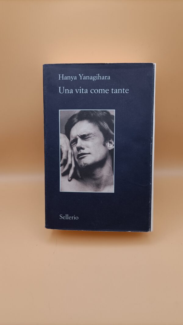 Hanya Yanagihara, Una vita come tante, Sellerio 13a edizione