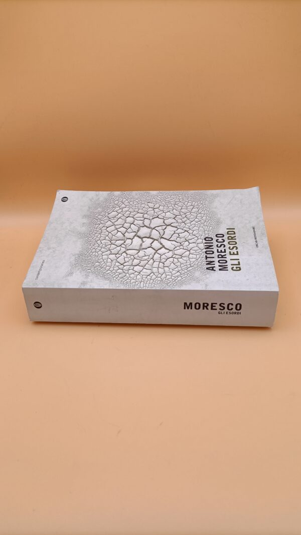 Antonio Moresco, Gli esordi, Oscar Mondadori - immagine 6