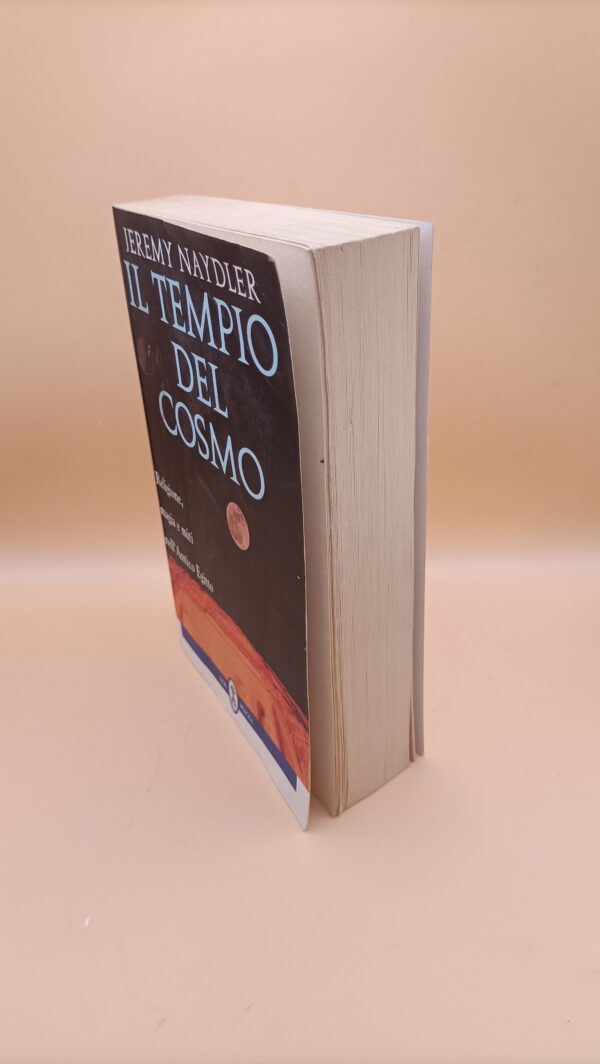 Jeremy Naydler, Il tempio del cosmo, Neri Pozza - immagine 2