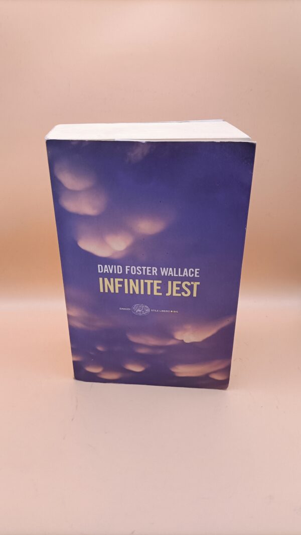 David Foster Wallace, Infinite Jest, Einaudi