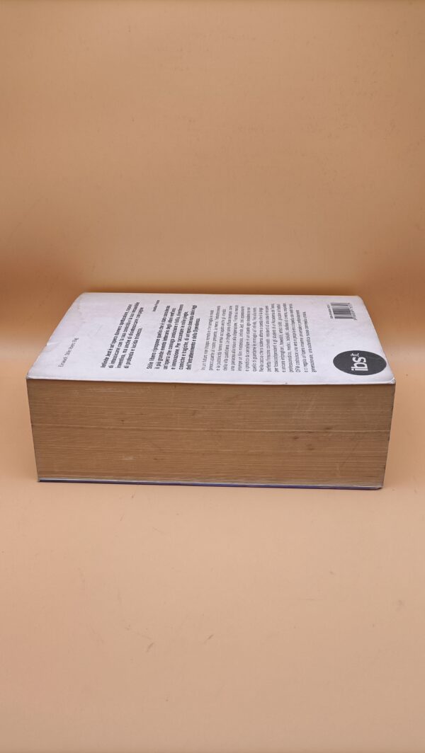David Foster Wallace, Infinite Jest, Einaudi - immagine 7