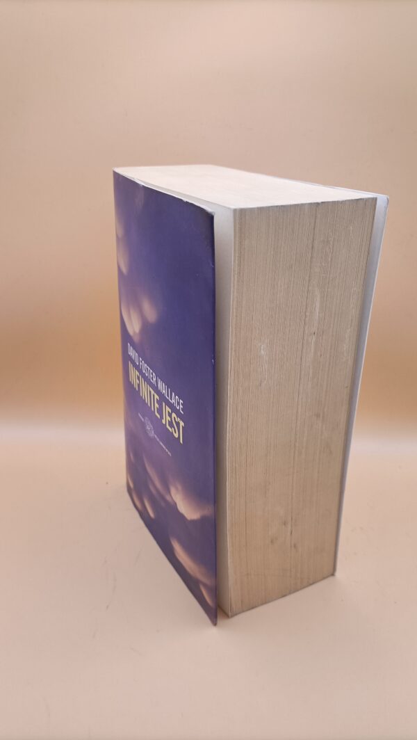 David Foster Wallace, Infinite Jest, Einaudi - immagine 4