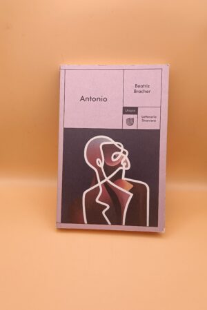 Beatriz Bracher, Antonio, Utopia Editore