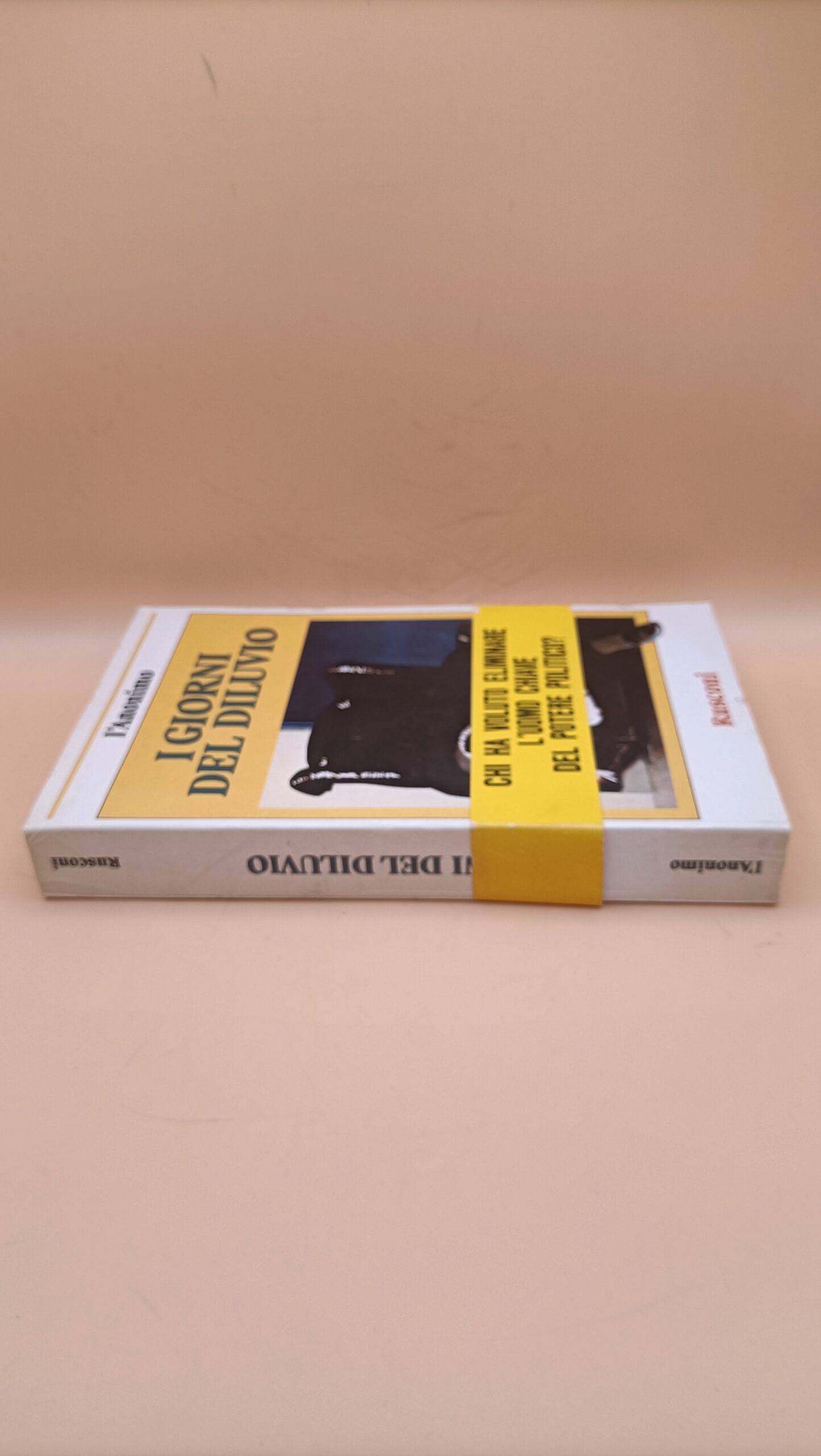 L'Anonimo, I giorni del diluvio, Rusconi 1a edizione 1985 - immagine 2