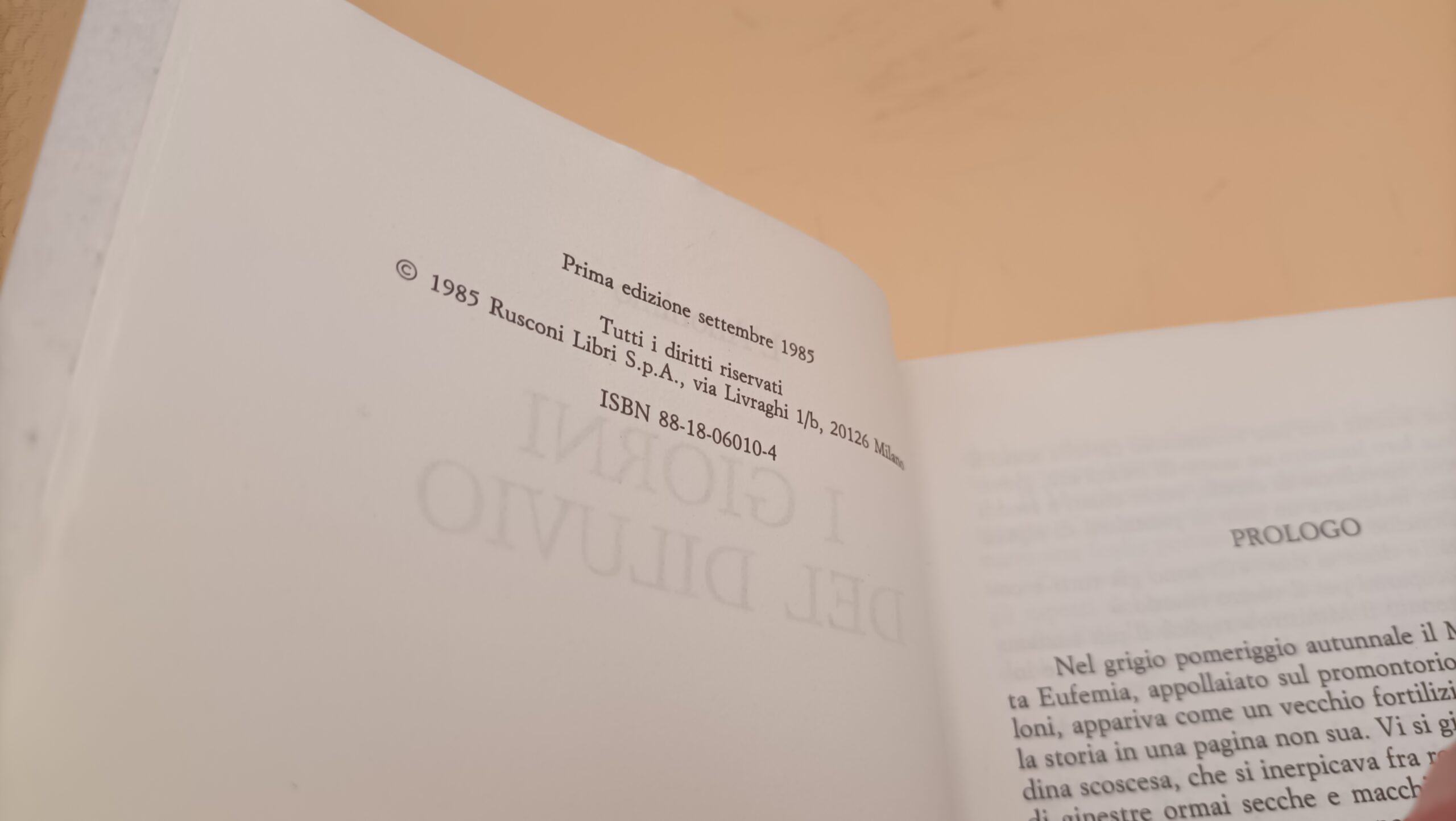L'Anonimo, I giorni del diluvio, Rusconi 1a edizione 1985 - immagine 3