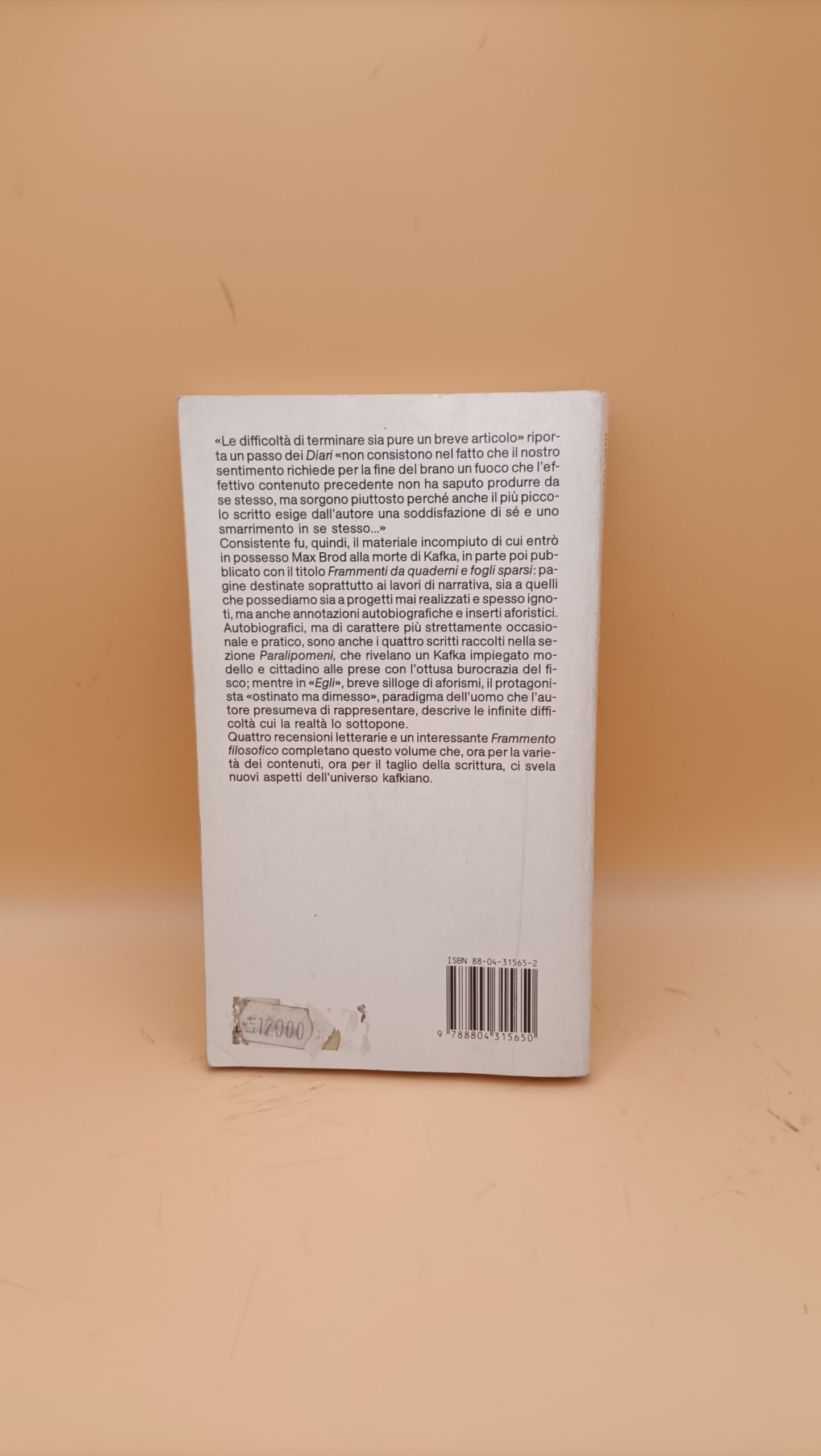 Franz Kafka, Frammenti e scritti vari, Oscar Mondadori - immagine 3