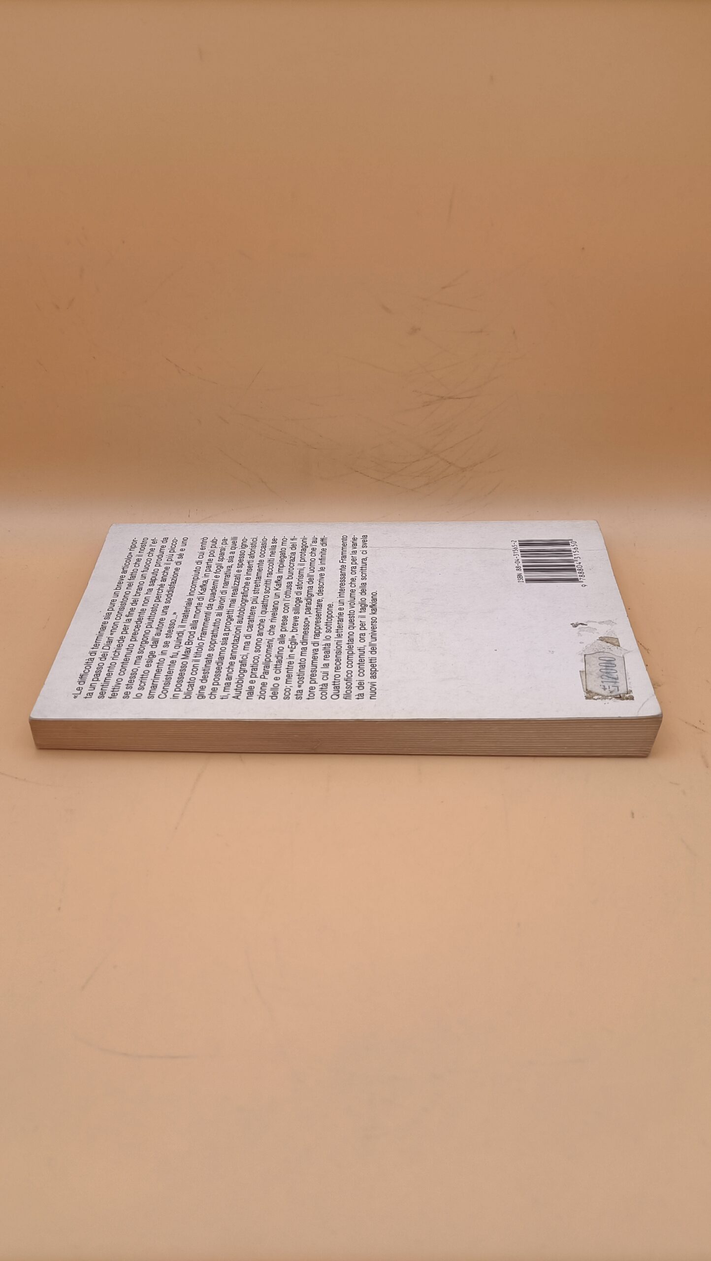 Franz Kafka, Frammenti e scritti vari, Oscar Mondadori - immagine 4